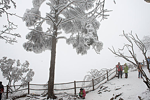 四川,峨眉山,冰雪雾凇,徐学哲摄影,尼康,年,月