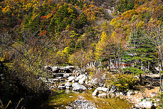 秦岭山