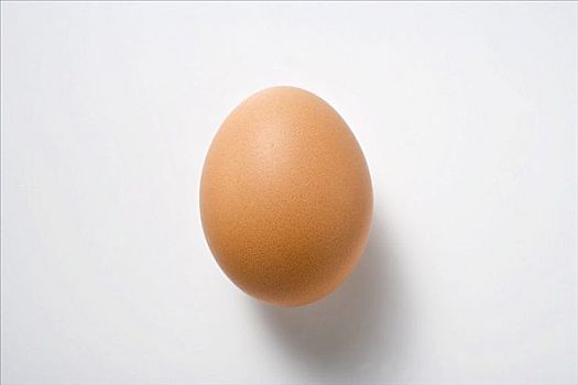 褐色,鸡蛋