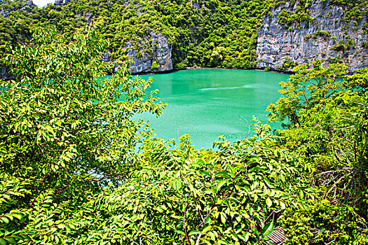 海岸线,绿色,泻湖,树,南海,泰国,苏梅岛,湾