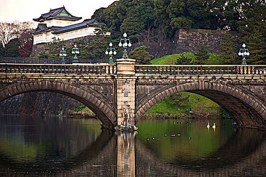 一对,白色,天鹅,游泳,过去,桥,伏见,瞭望塔,黎明,皇宫,中心,东京,日本