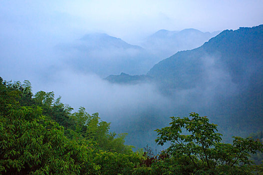 山,树林,雾气,云海,氤氲,绿色,树木,乡村