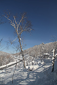 哈尔滨,雪乡,雪景,北方