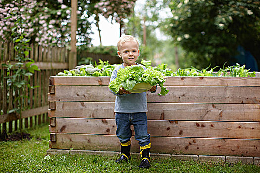 幼儿,男孩,挑选,植物,后院