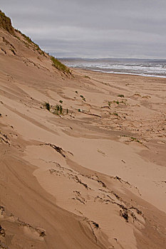 图案,沙子,沙丘,爱德华王子岛,国家公园,北岸,加拿大