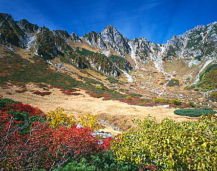 阿尔卑斯山中部