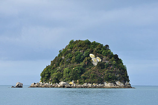 岛屿,国家公园,南岛,新西兰