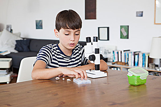 男孩,探索,海贝,显微镜,在家