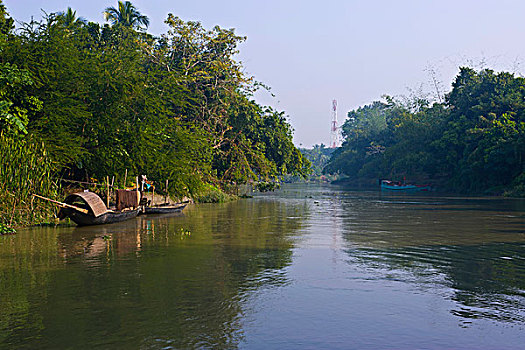 水獭,捕鱼,孟加拉,亚洲