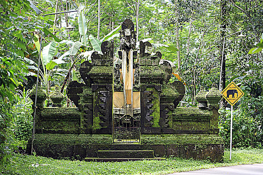 小,庙宇,神祠,靠近,芋头,巴厘岛,印度尼西亚