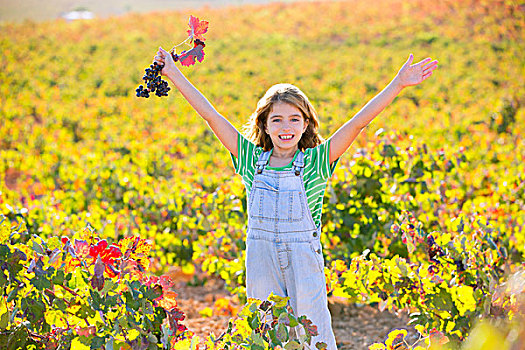 儿童,女孩,高兴,秋天,葡萄园,地点,伸展胳膊,红叶,葡萄,束,拿着