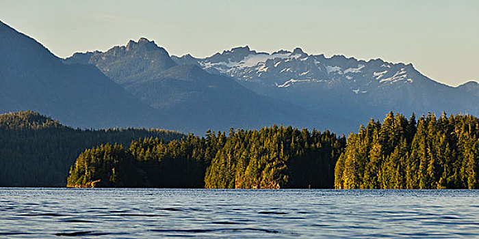 温哥华岛,水,格里夸湾,山,国家公园,背景