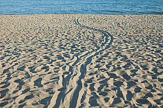 轮胎印,沙子,海滩