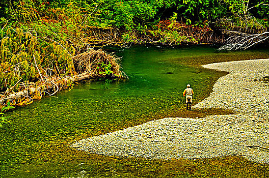 男人,飞钓,河,不列颠哥伦比亚省,加拿大