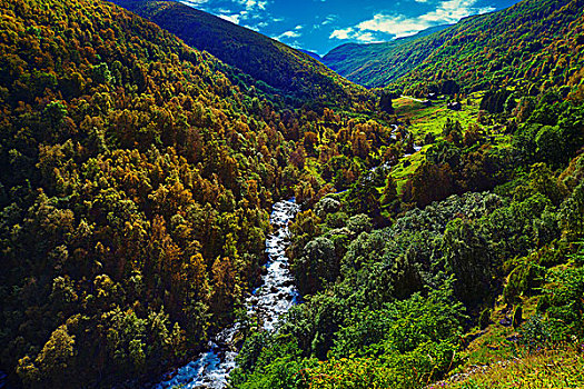 挪威,风景,山,河,秋日树林