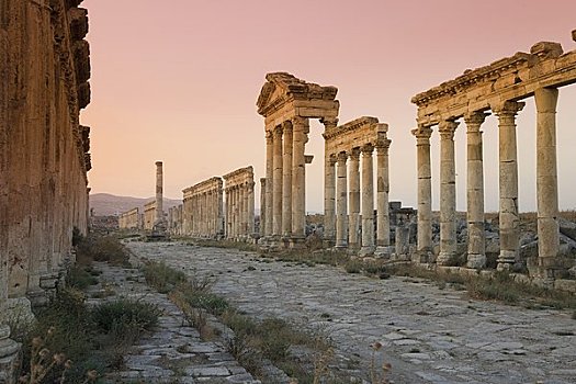 叙利亚,阿帕米亚,遗迹,公元前3世纪,罗马,柱廊,主要街道,雄伟,喷泉