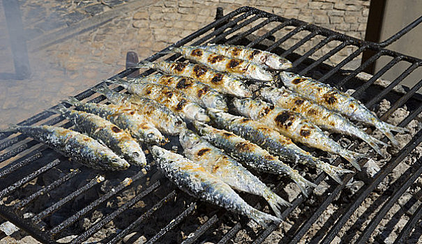 沙丁鱼,教区,阿尔加维,葡萄牙