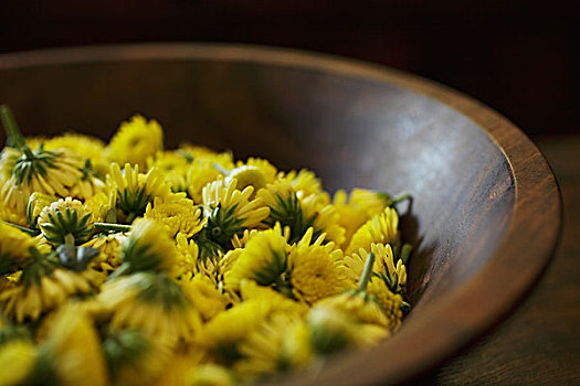 黄色,菊花,花,木碗