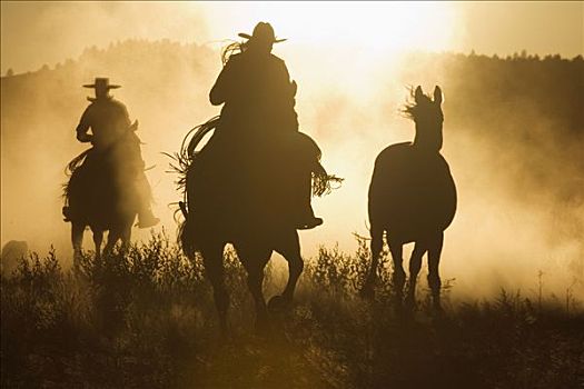 牛仔,放牧,家养马,马,群体,黄昏,俄勒冈