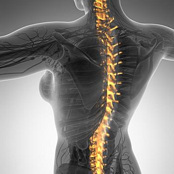 人,背痛,上半身,身体,骨骼,展示,脊椎