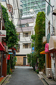 日本东京,新宿的街道巷弄,颜色缤纷