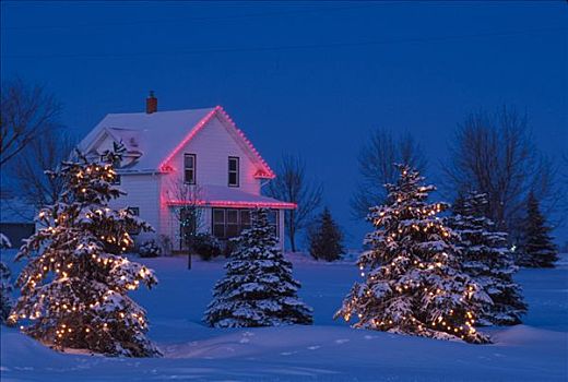 冬天,圣诞灯光,农舍,树,明尼苏达
