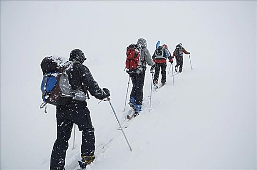 越野,滑雪者,少女峰,阿尔卑斯山,瑞士