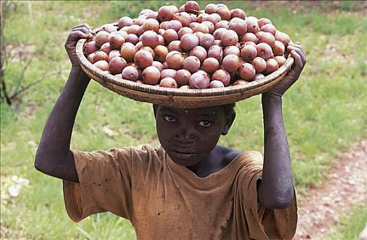 第三世界,男孩,水果,篮子,头部,丰收,马拉维,非洲
