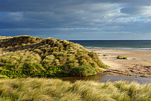 风,吹,沙丘草,小河,海滩,北海,诺森伯兰郡,英格兰,英国
