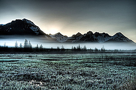 晨雾,地上,靠近,公路,太阳,上升,上方,楚加奇山,楚加奇国家森林,阿拉斯加,春天
