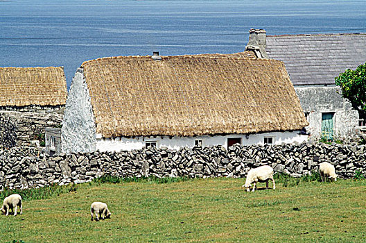 传统,茅草屋顶,屋舍,阿伦群岛,伊尼什莫尔岛尔