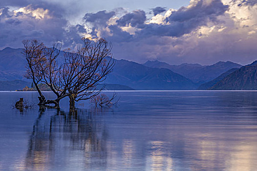 瓦纳卡湖,南岛,新西兰
