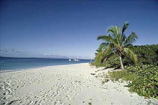沙,美属维京群岛