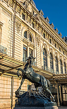 法国,巴黎,地区,马,雕塑,正面,博物馆