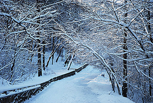 雪景