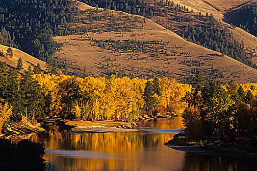 秋色,河,靠近,蒙大拿,美国