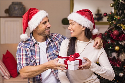 幸福伴侣,圣诞帽,拿着,礼物