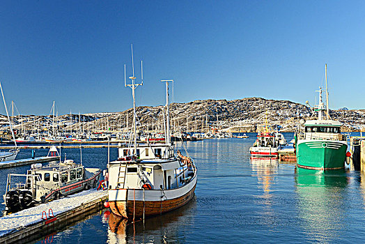 渔船,港口,诺尔兰郡,挪威,欧洲