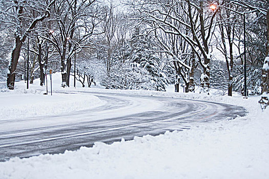 道路,雪,城市公园
