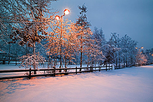 雪,遮盖,公园,街道,光亮,区域,栅栏