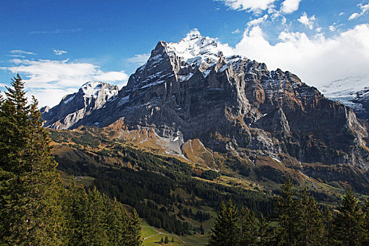 瑞士菲尔斯特山