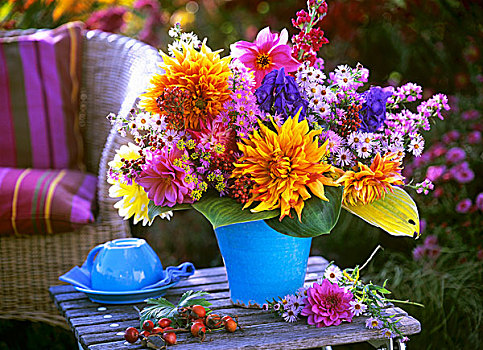 秋天,安放,大丽花,紫苑属,花园桌