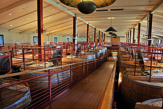 橡树,发酵,桶,葡萄酒厂,那帕山谷,加利福尼亚,美国