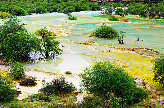 四川九寨沟黄龙五彩池