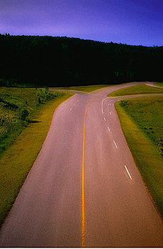 道路,树,天空,加蒂诺,大路,加蒂诺公园,魁北克,加拿大