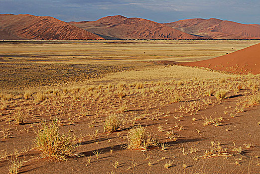 纳米比亚,国家公园,沙漠,沙丘,山谷