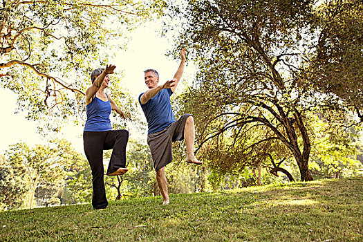 夫妻,练习,瑜伽姿势,公园