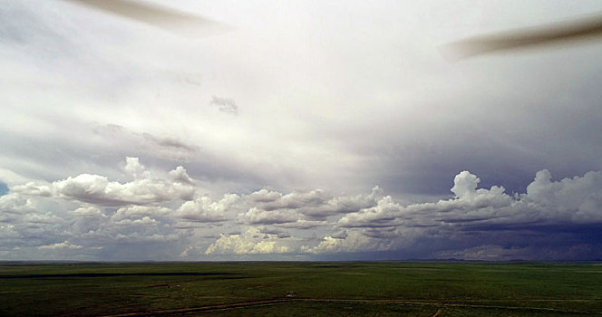 内蒙古,野狼谷草原,真正的风吹草低见牛羊