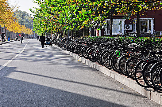 长,排,自行车停放,街道,北京,中国