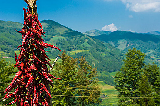 山岭风光